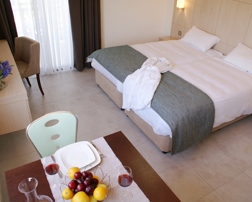 Anemi Hotel Apartments Superior Studio 1