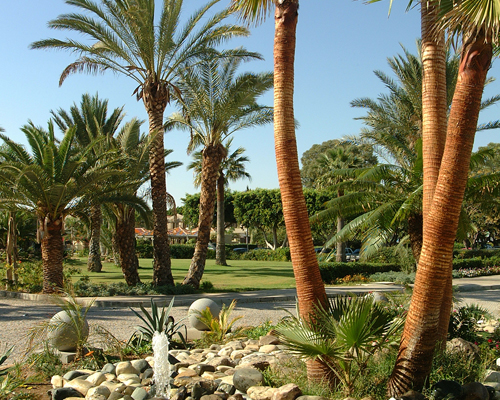 Palm Beach Hotel Gardens