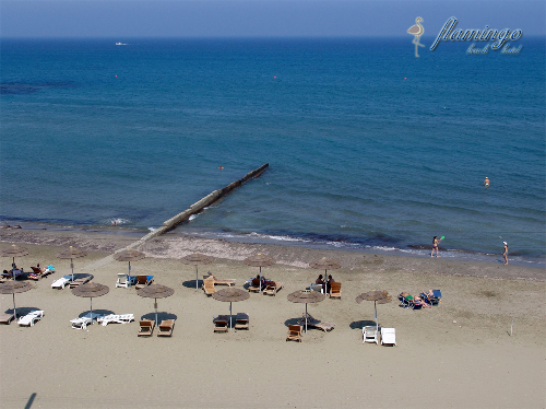 Flamingo Beach Hotel