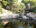 Capo Bay Hotel Gardens & Fish Pond 1