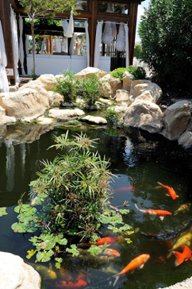 Capo Bay Hotel Fish Pond 2