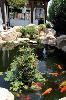Capo Bay Hotel Fish Pond 2