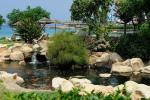 Capo Bay Hotel Fish Pond 3