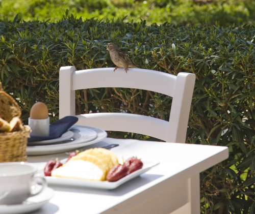 Sandy Beach Hotel Breakfast 1